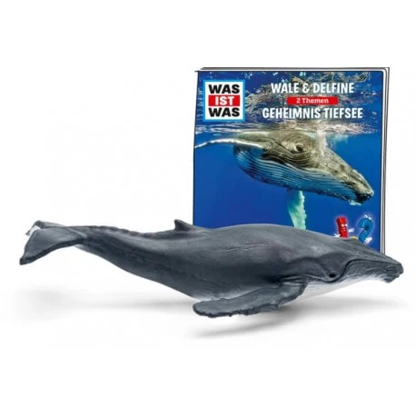 Tonies® WAS IST WAS - Wale & Delfine/Geheimnisse Tiefsee 5 Tonies® WAS IST WAS - Wale & Delfine/Geheimnisse Tiefsee – Bild 3
