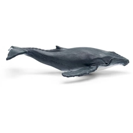 Tonies® WAS IST WAS - Wale & Delfine/Geheimnisse Tiefsee 3 Tonies® WAS IST WAS - Wale & Delfine/Geheimnisse Tiefsee