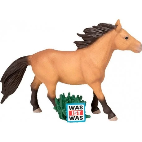 Tonies® WAS IST WAS - Wunderbare Pferde/Reitervo 3 Tonies® WAS IST WAS - Wunderbare Pferde/Reitervo